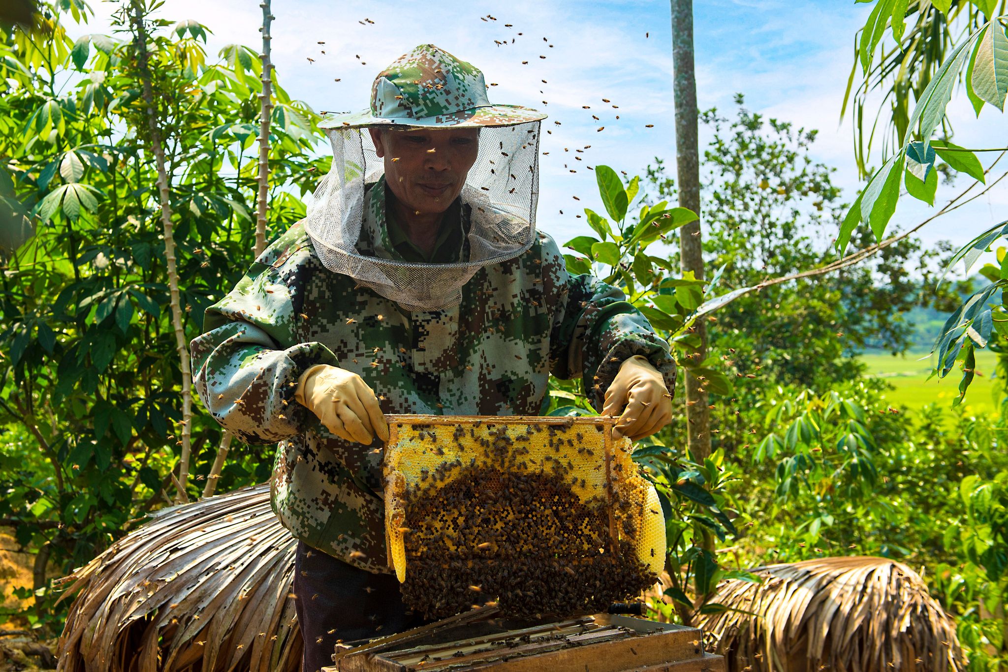 Bút ký “CAO” CỦA NGÀN TRƯƠI  của Tác giả Trần Ngọc Diệp