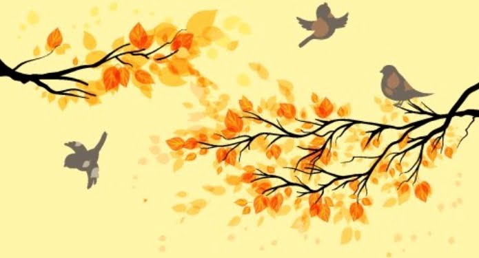 Thơ chọn và lời bình: Hương sắc mùa thu