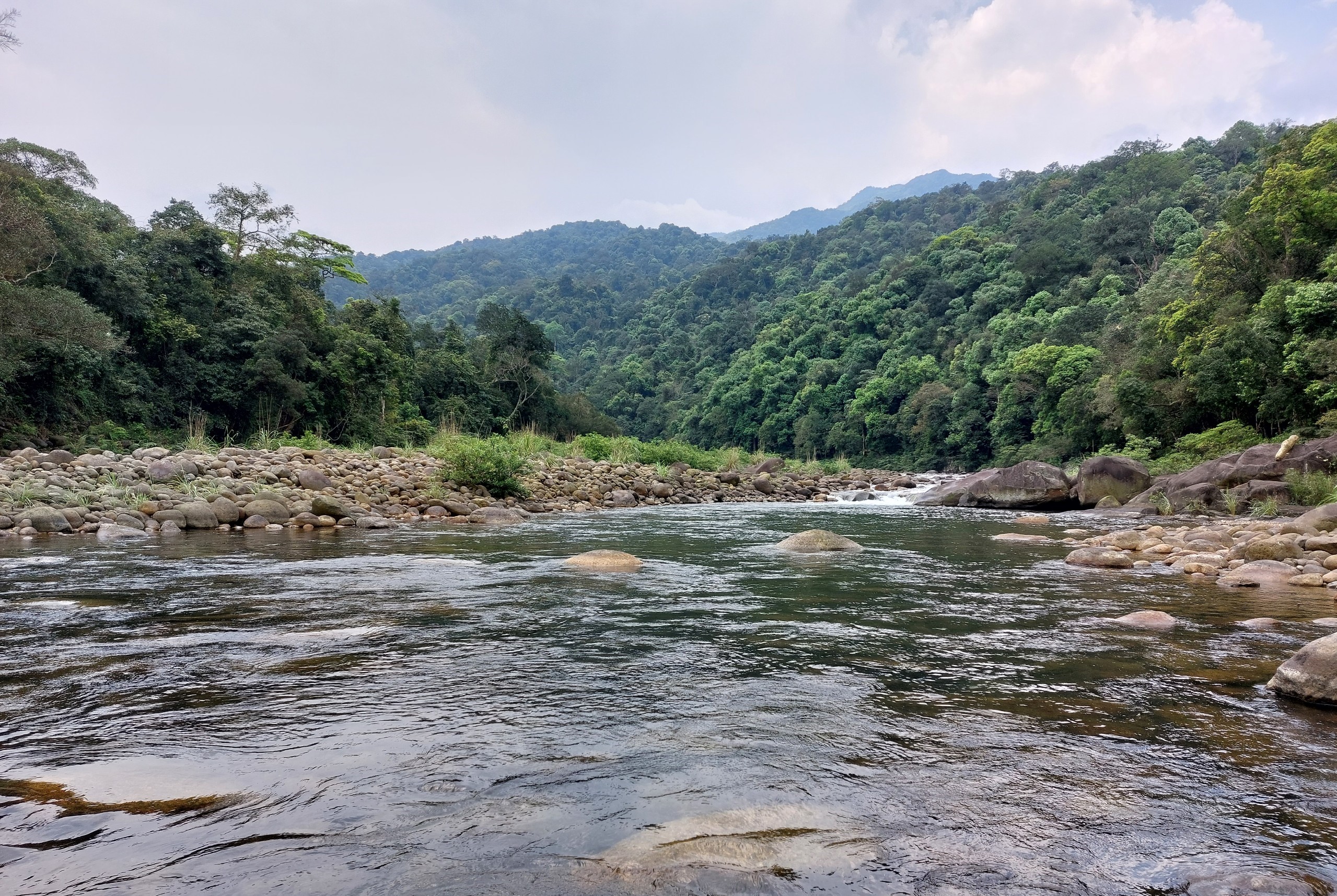 Ghi chép NGƯỢC DÒNG NGÀN TRƯƠI của NGUYỄN THU HƯỜNG