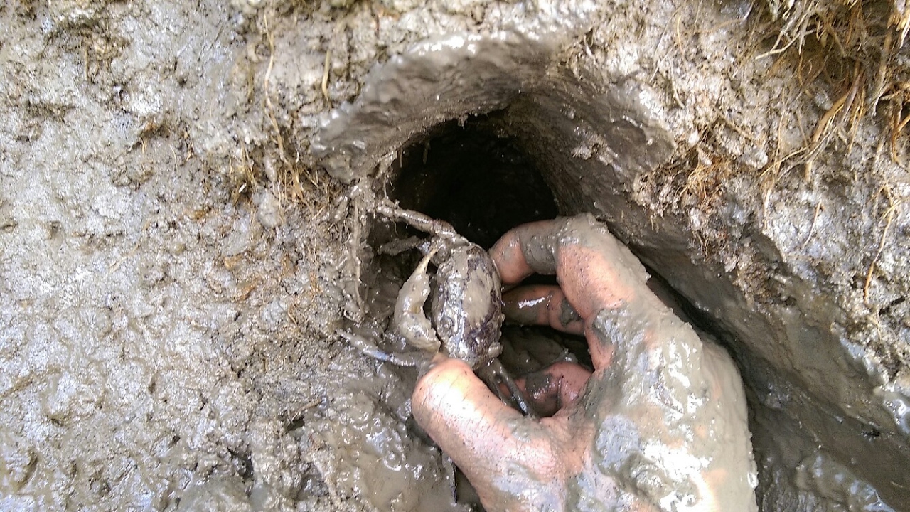 Tản văn GIÓ MÙA SE SẮT của NGUYỄN DOÃN VIỆT