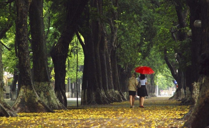 Tản văn “Mưa thu…” của Trần Việt Hoàng