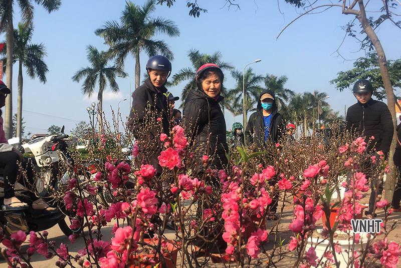 Tản văn NHỮNG NGÀY ÁP TẾT của TRẦN HÀNH SƠN