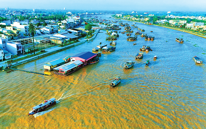 Một số tác phẩm Mỹ thuật - Nhiếp ảnh tại Trại sáng tác Cần thơ 2025