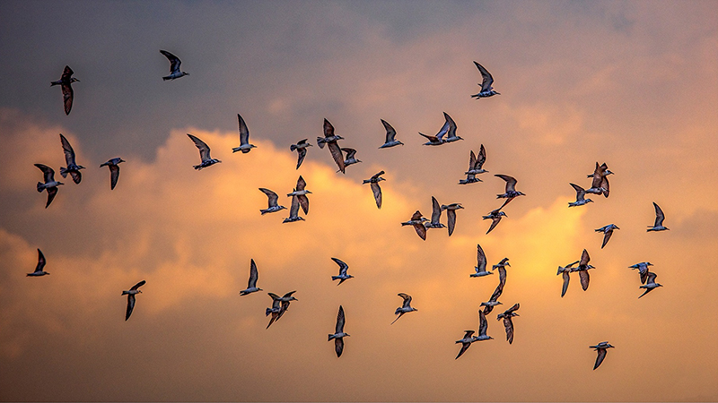 Trang dành cho các em trên Tạp chí Hồng Lĩnh số 230