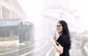 Tản văn Ngày mưa của tôi của tác giả Hồ Minh Thông