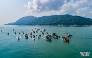 Lễ hội Cầu ngư Nhượng Bạn – độc đáo nét đẹp trong văn hóa của người dân vùng biển