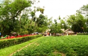 Trang thơ trên Tạp chí Hồng Lĩnh số 237 (phần 1)
