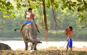 Tản văn “Những trưa thương nhớ...” của Thanh Tuân